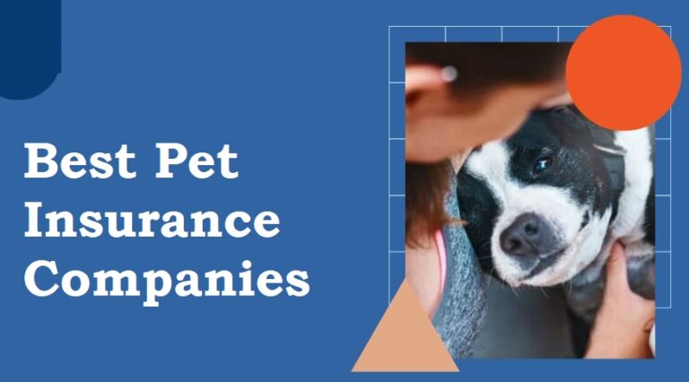 Best Pet Insurance Companies for March 2024